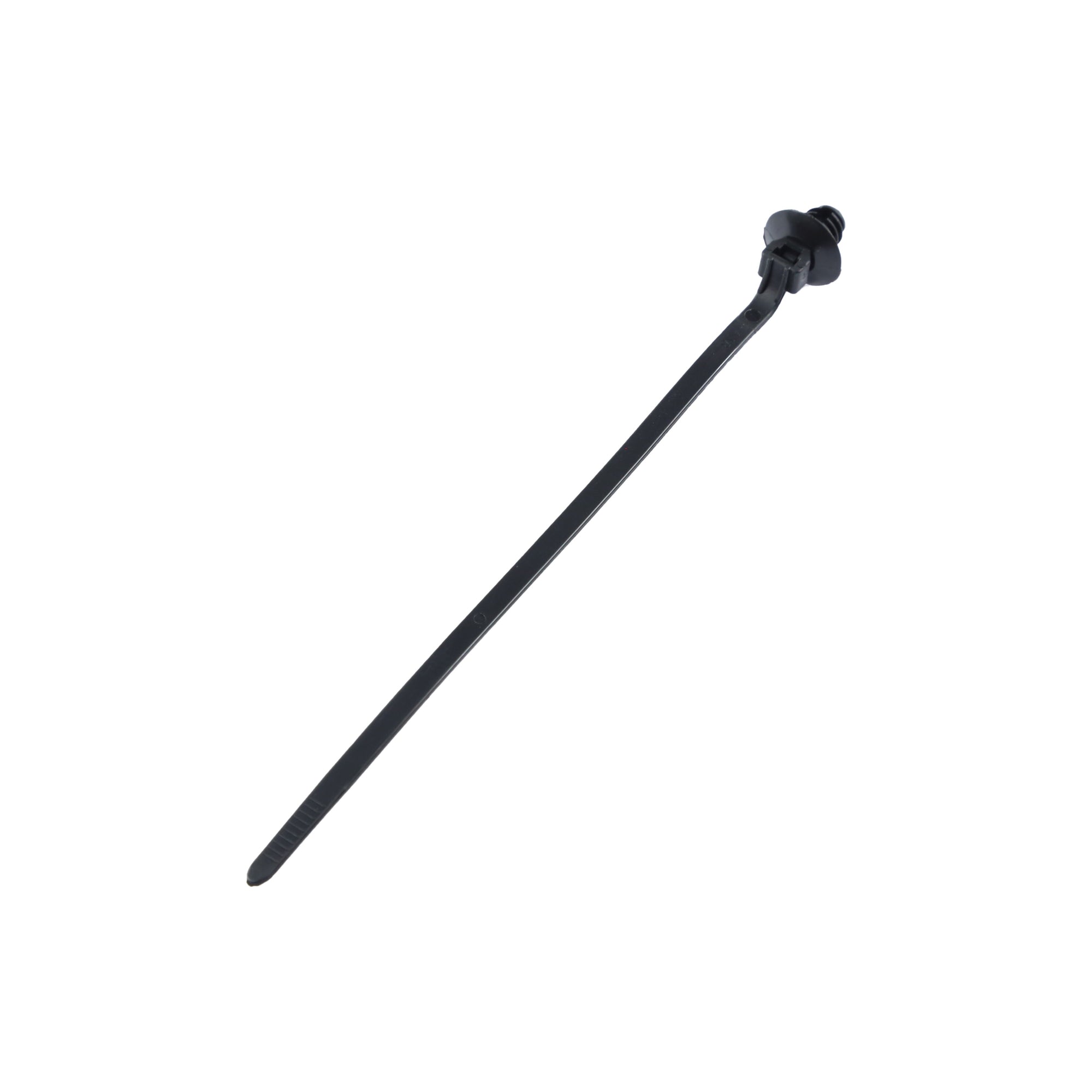 BAND, 380900267-0001