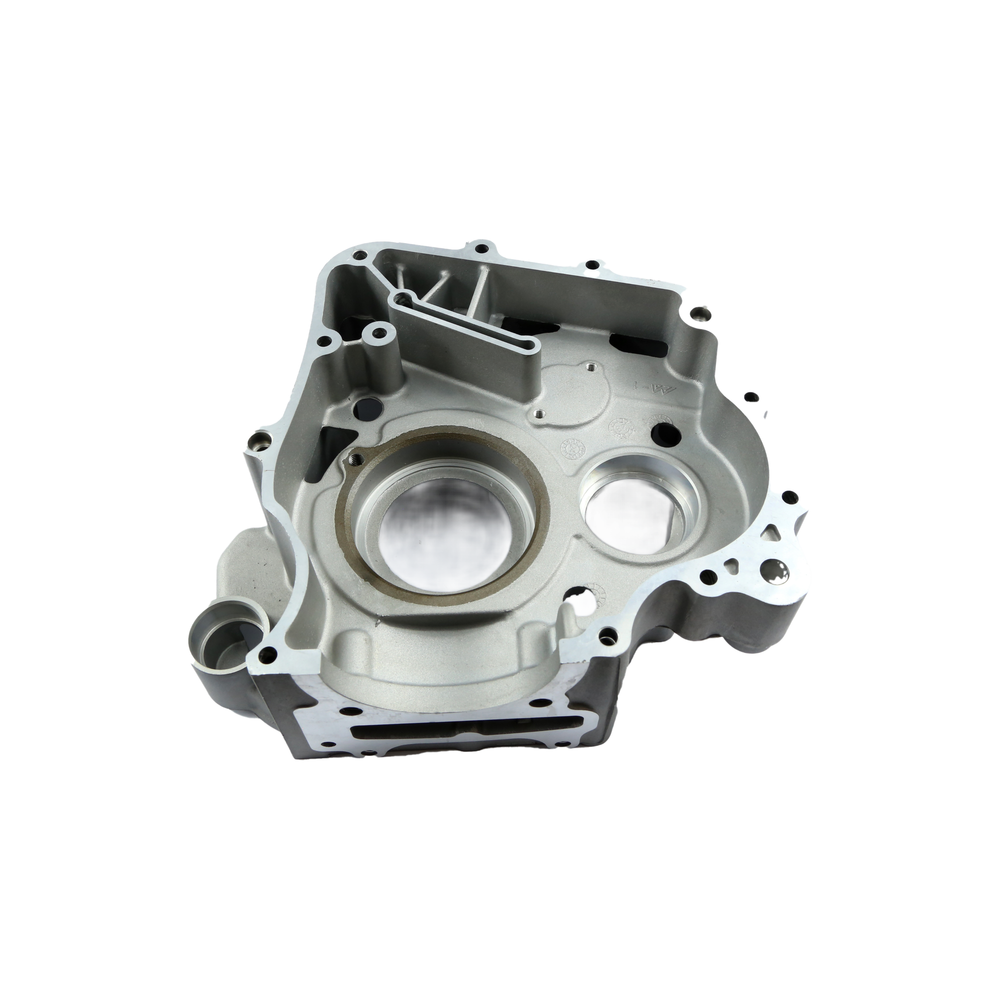 BODY SET,RIGHT CRANKCASE, 110080417-0001