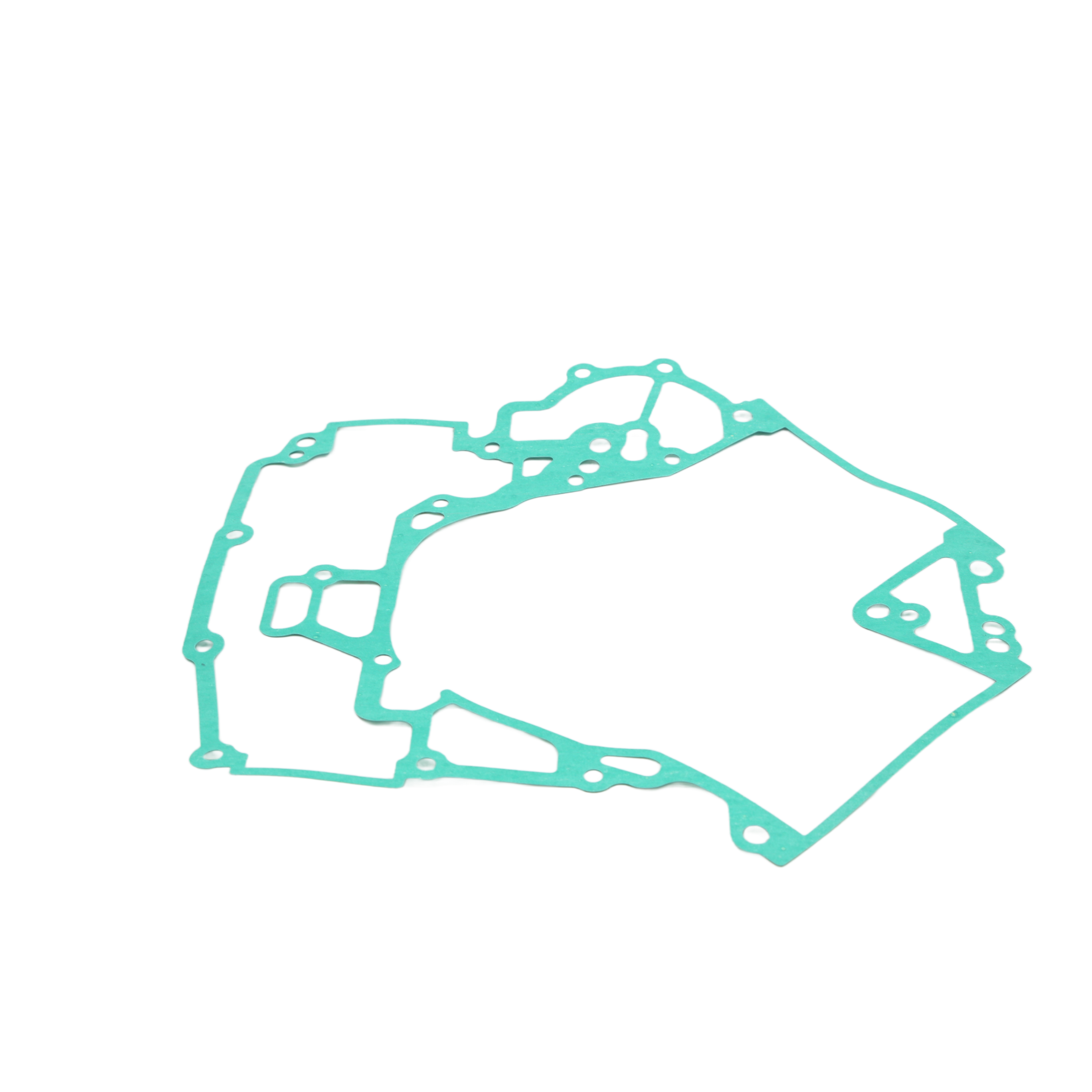 GASKET.CRANKCASE, 110100111-0001