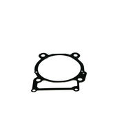 GASKET, CYLINDER, 120050080-0001