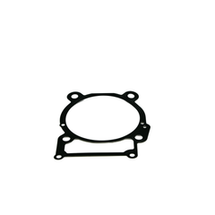 GASKET,CYLINDER, 120050080-0001