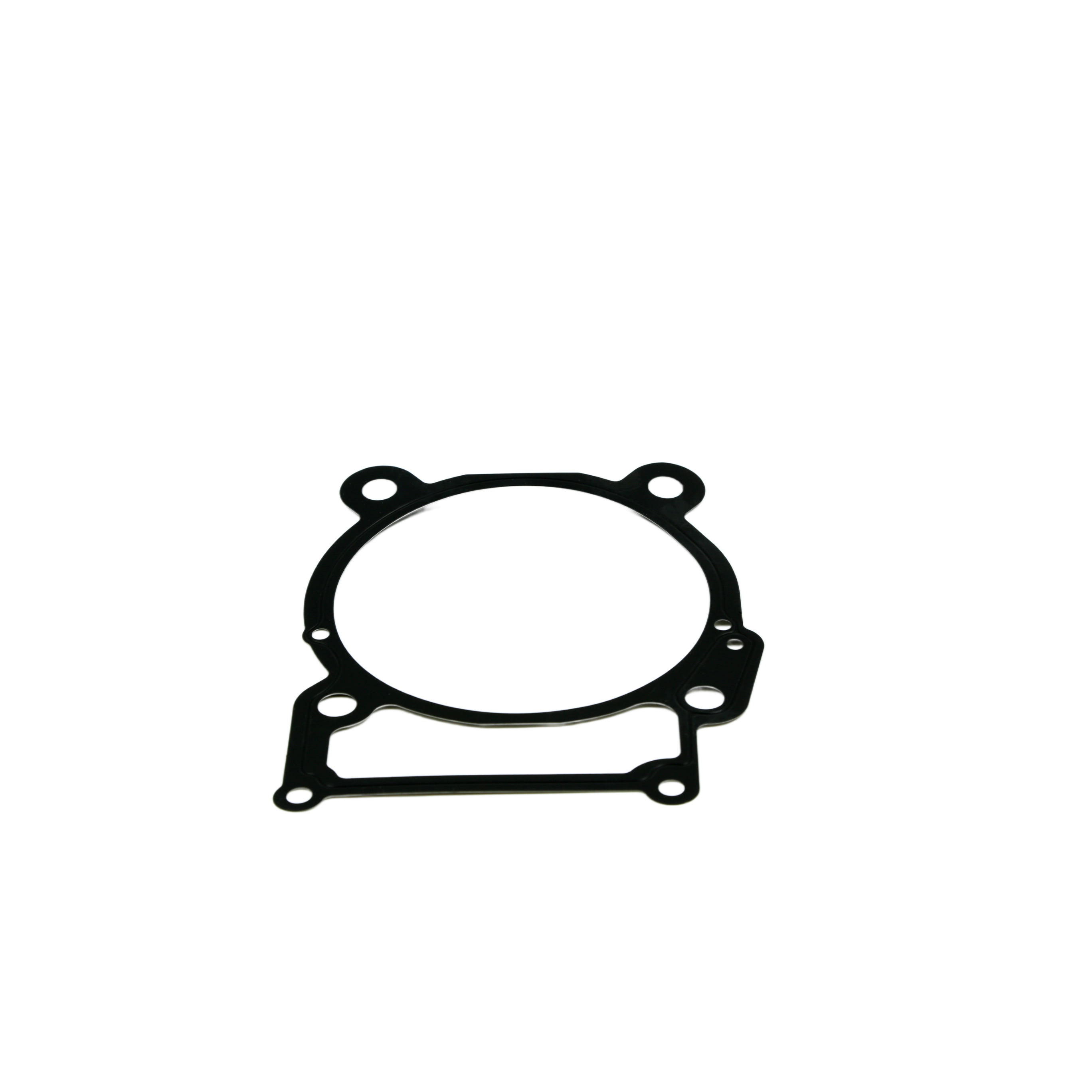 GASKET,CYLINDER, 120050080-0001