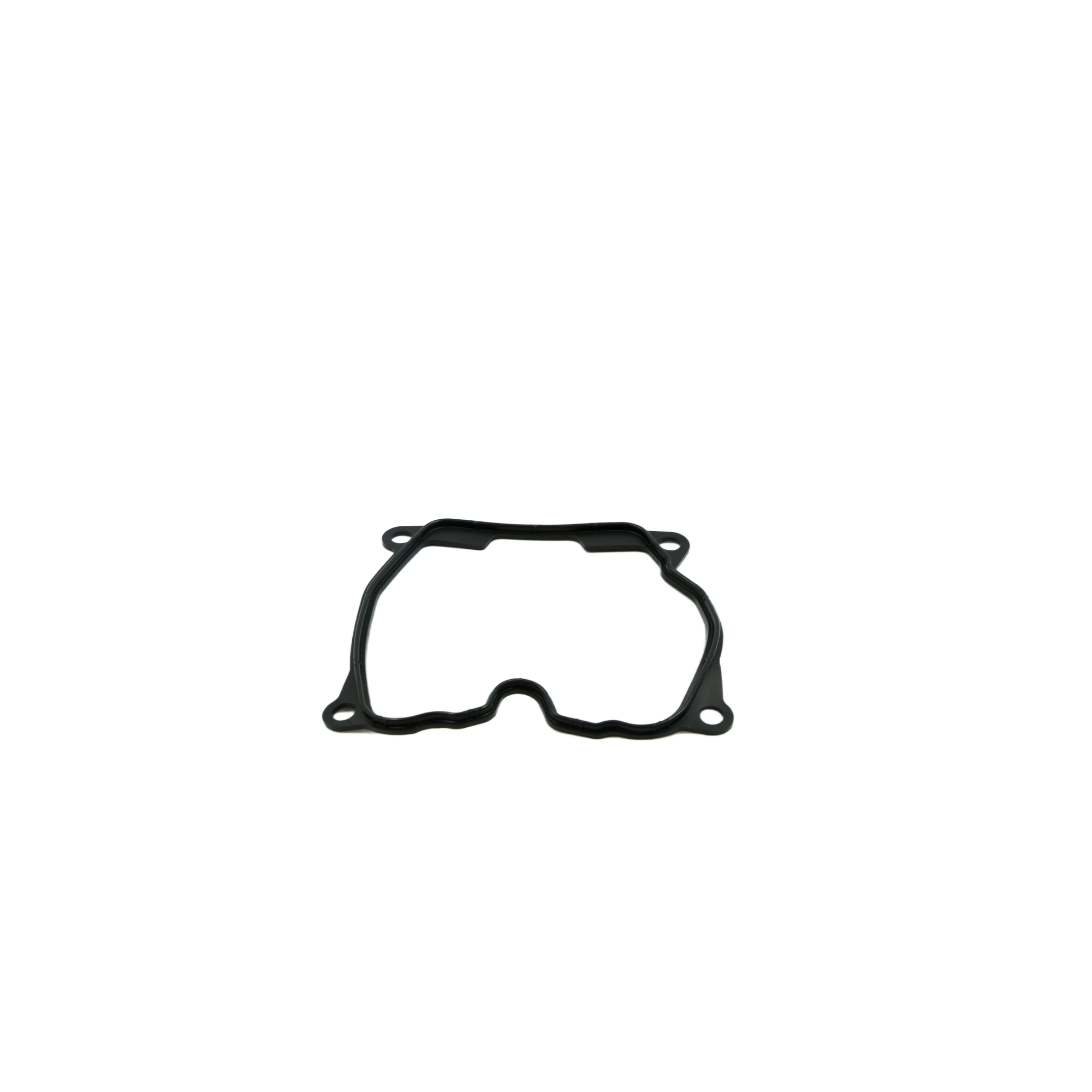 GASKET,CYLINDER HEAD COVER, 120250084-0001