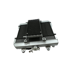 RADIATOR COMP., 160010181-0001