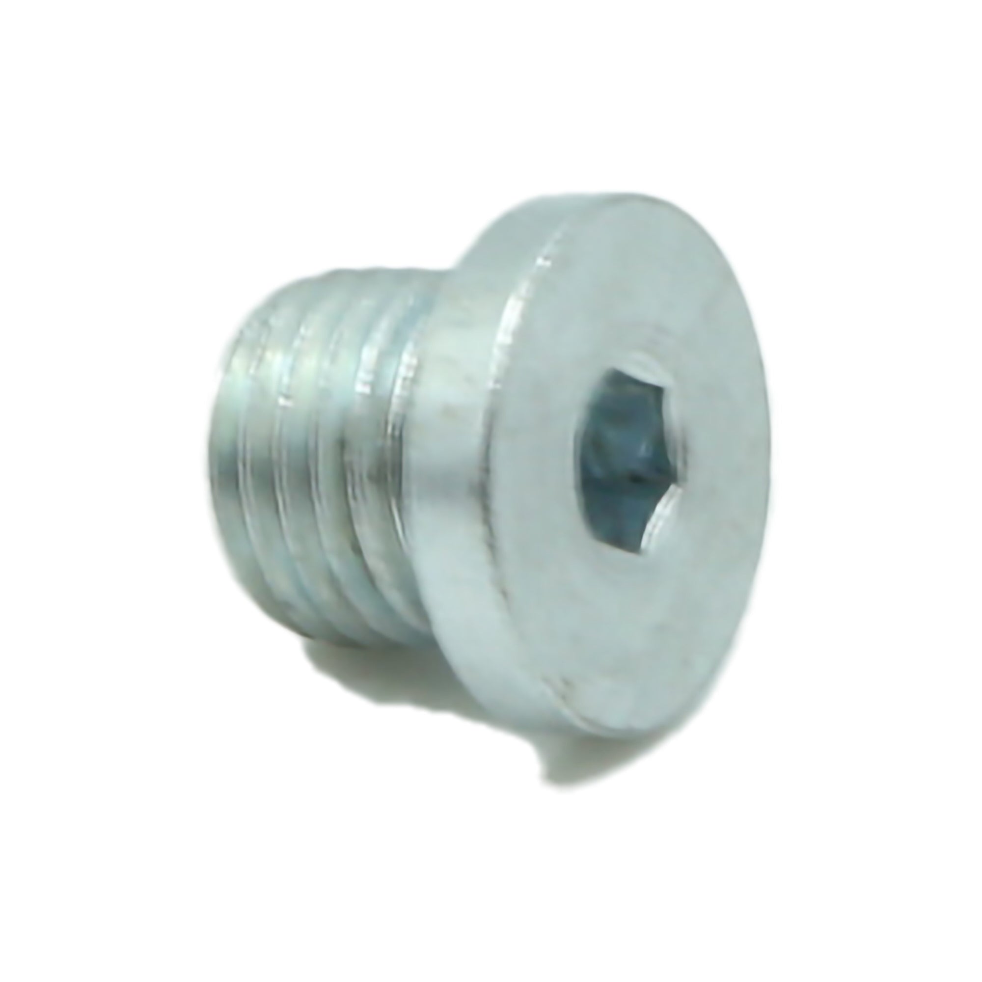 SCREW,OIL DRAIN, 173600010-0001