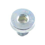 SCREW,OIL DRAIN, 173600011-0001