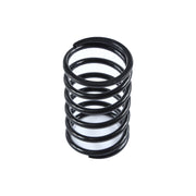 SPRING,COMPRESSION, 381150864-0001
