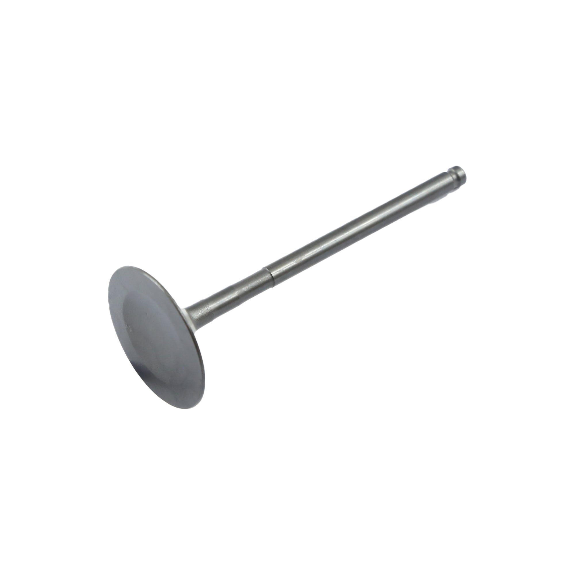 VALVE KIT, 500550118-0001